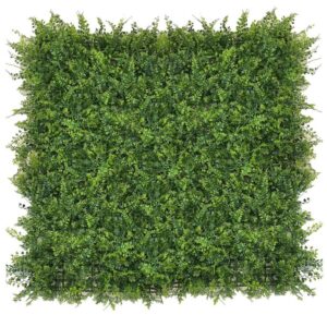 عشب جداري وخشب بركية (12)