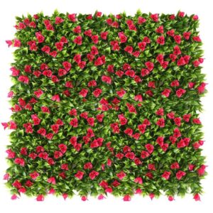 عشب جداري وخشب بركية (8)